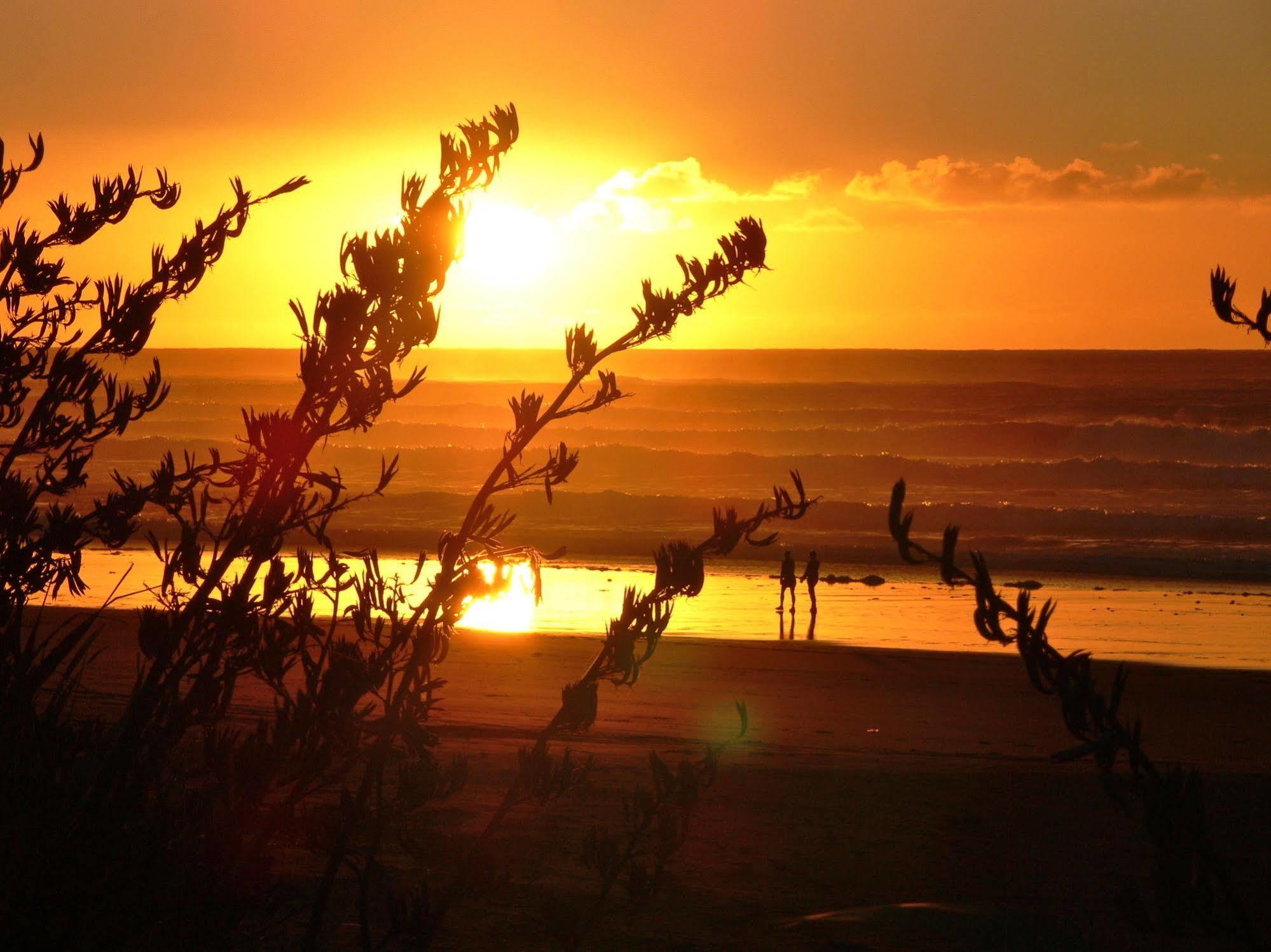 Oakura Beach Holiday Park Esterno foto